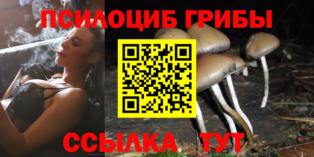 Дмитров  продажа наркотиков  Вход с VPN  Псилоцибиновые грибы Magic Shrooms 