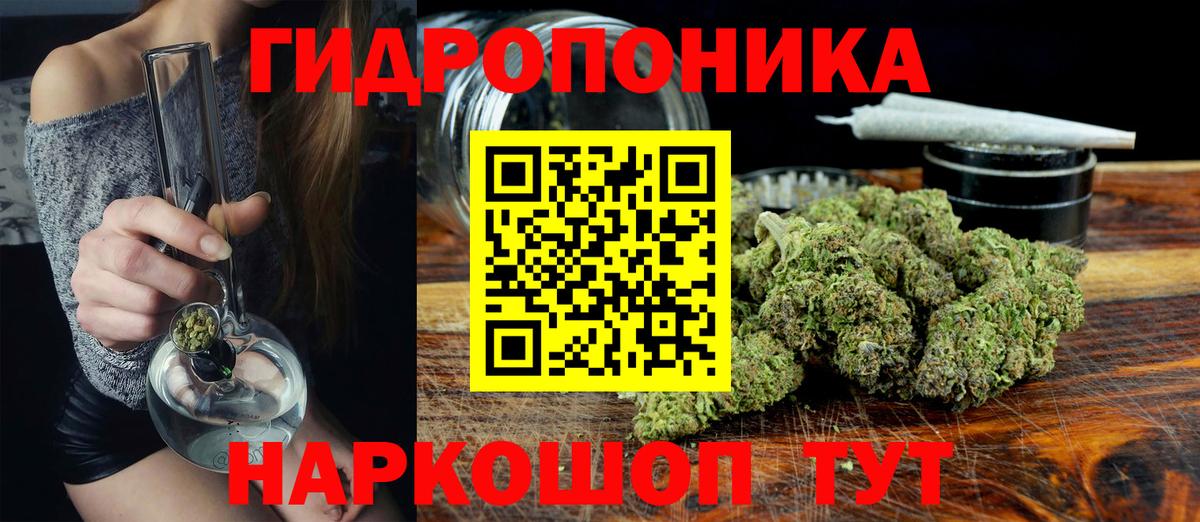 Бошки Шишки семена Дмитров